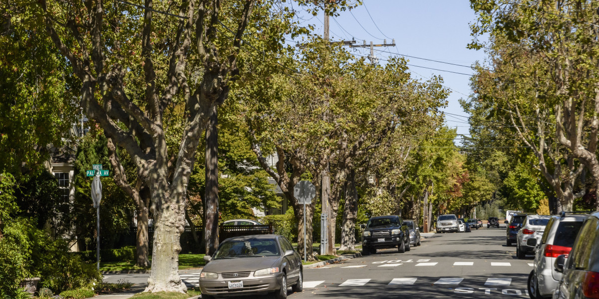 Living in Burlingame Grove Burlingame Grove Real Estate Burlingame Properties