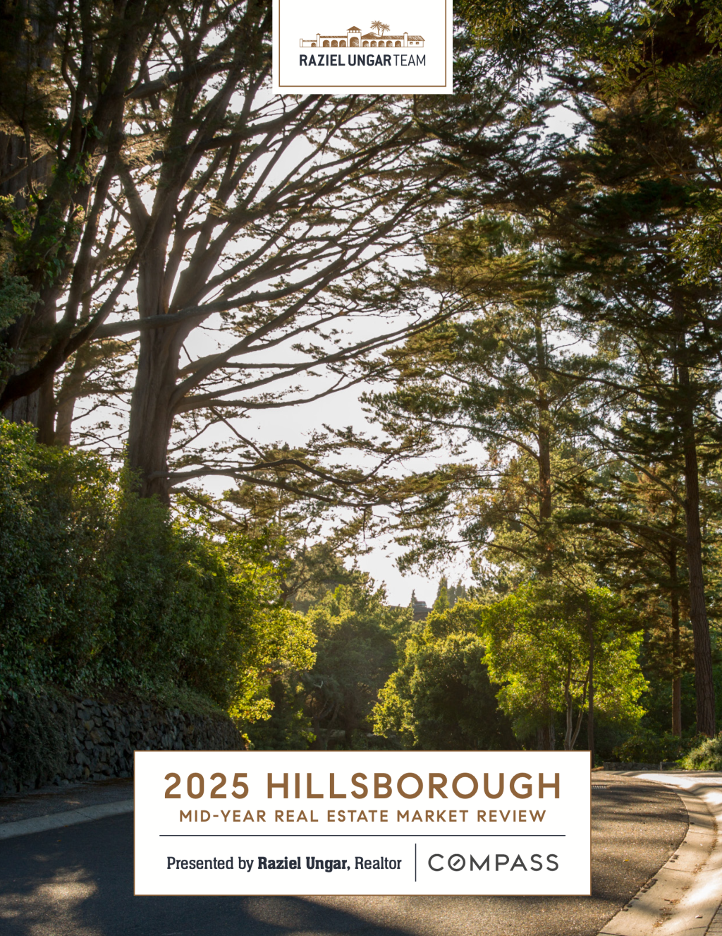 2025 Hillsborough mid year report cover.