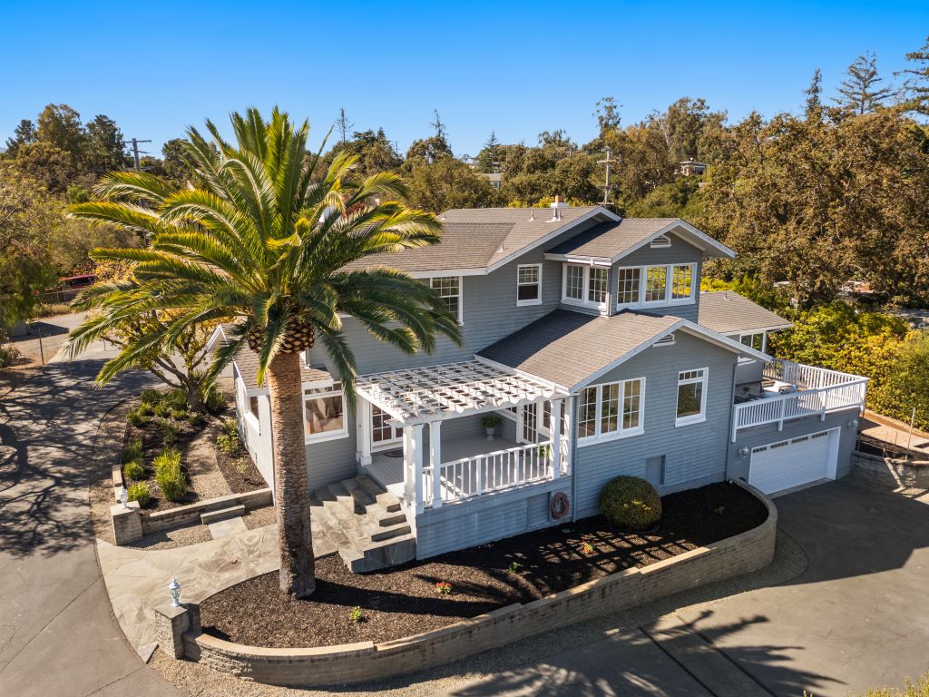 Drone shot with palm tree in the Cordilleras Heights/Emerald Hills neighborhood in Redwood City.